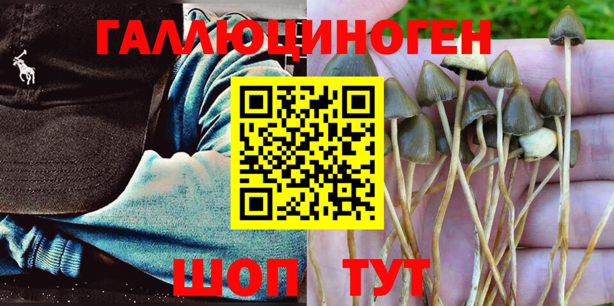 Псилоцибиновые грибы Psilocybine cubensis  Вход с VPN  дарнет шоп  Галлюциногенные грибы MAGIC MUSHROOMS  Качканар 