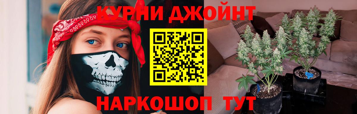 Марихуана конопля  МАРИХУАНА план  Шишки марихуана VHQ  Качканар  Вход с VPN  Конопля White Widow 